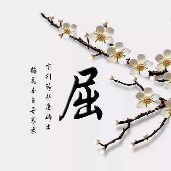 屈先生